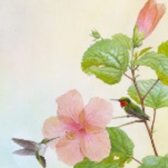 Matted & Wood Framed Wall Art Print Hummingbird Hibiscus Flower Gallery Wall - Picture 2 of 11